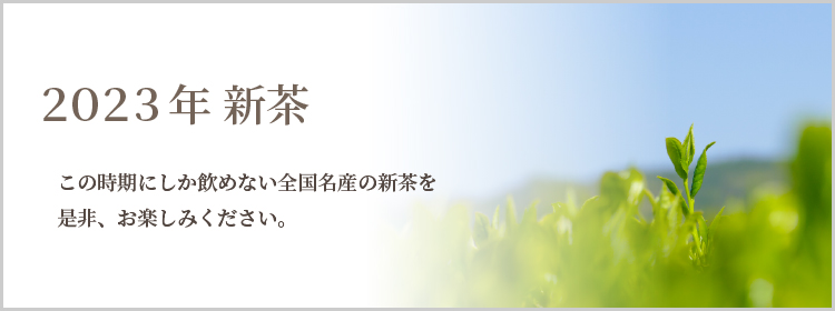 2023新茶