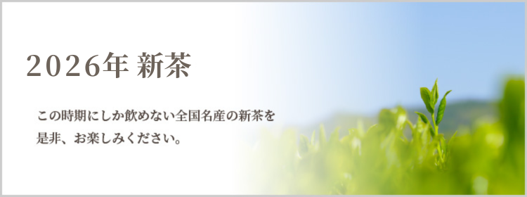 2026新茶